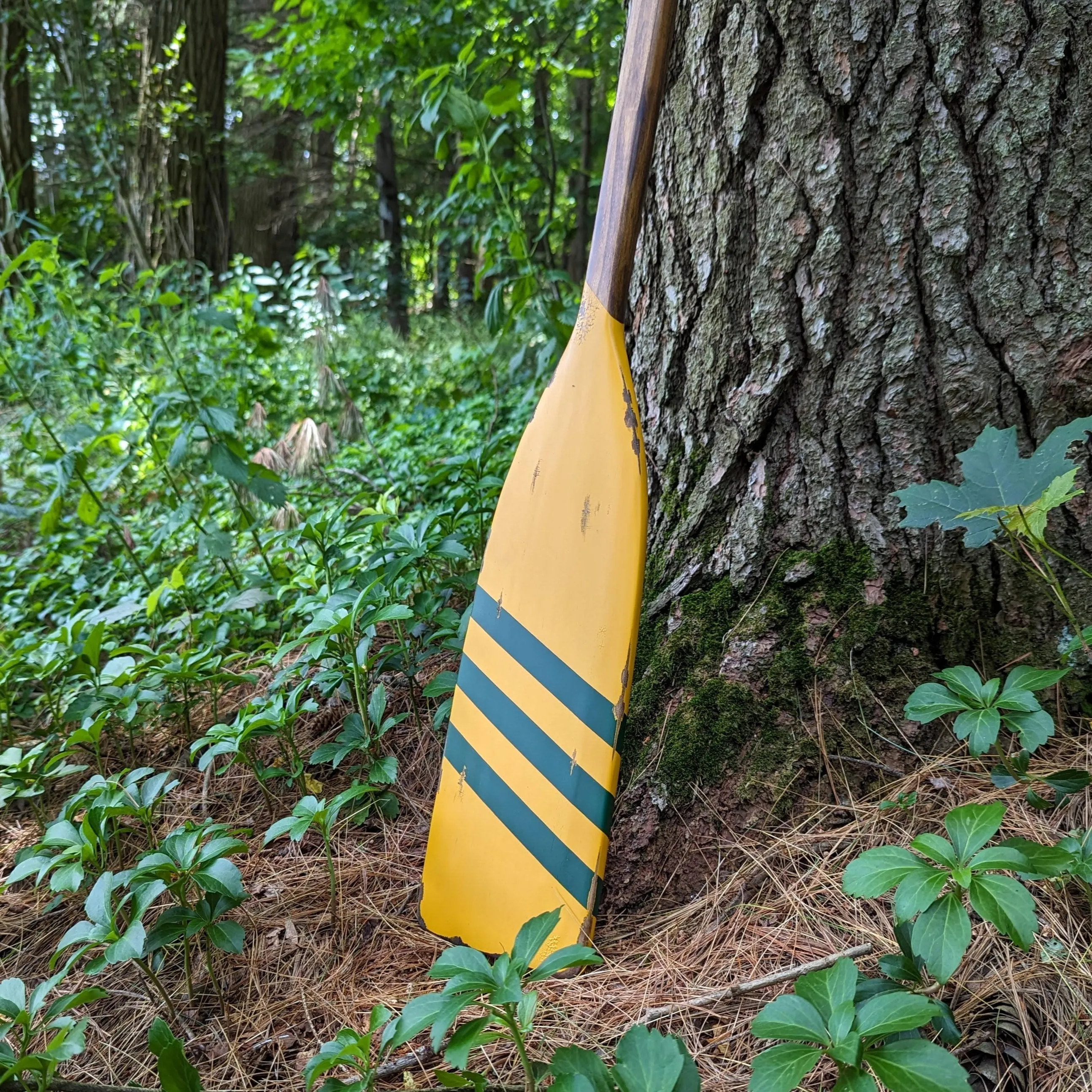 Green Bay Canoe Paddle