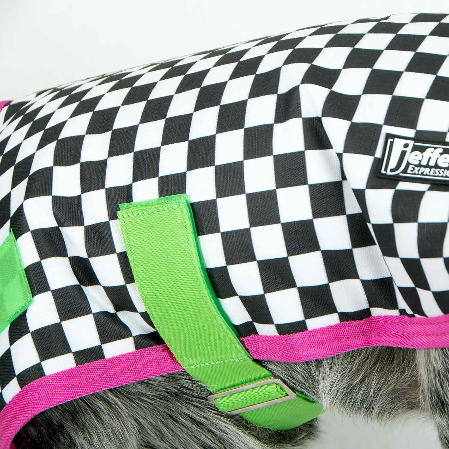 In Stock Now! Jeffers Expression Dog Coat, Skater Pup