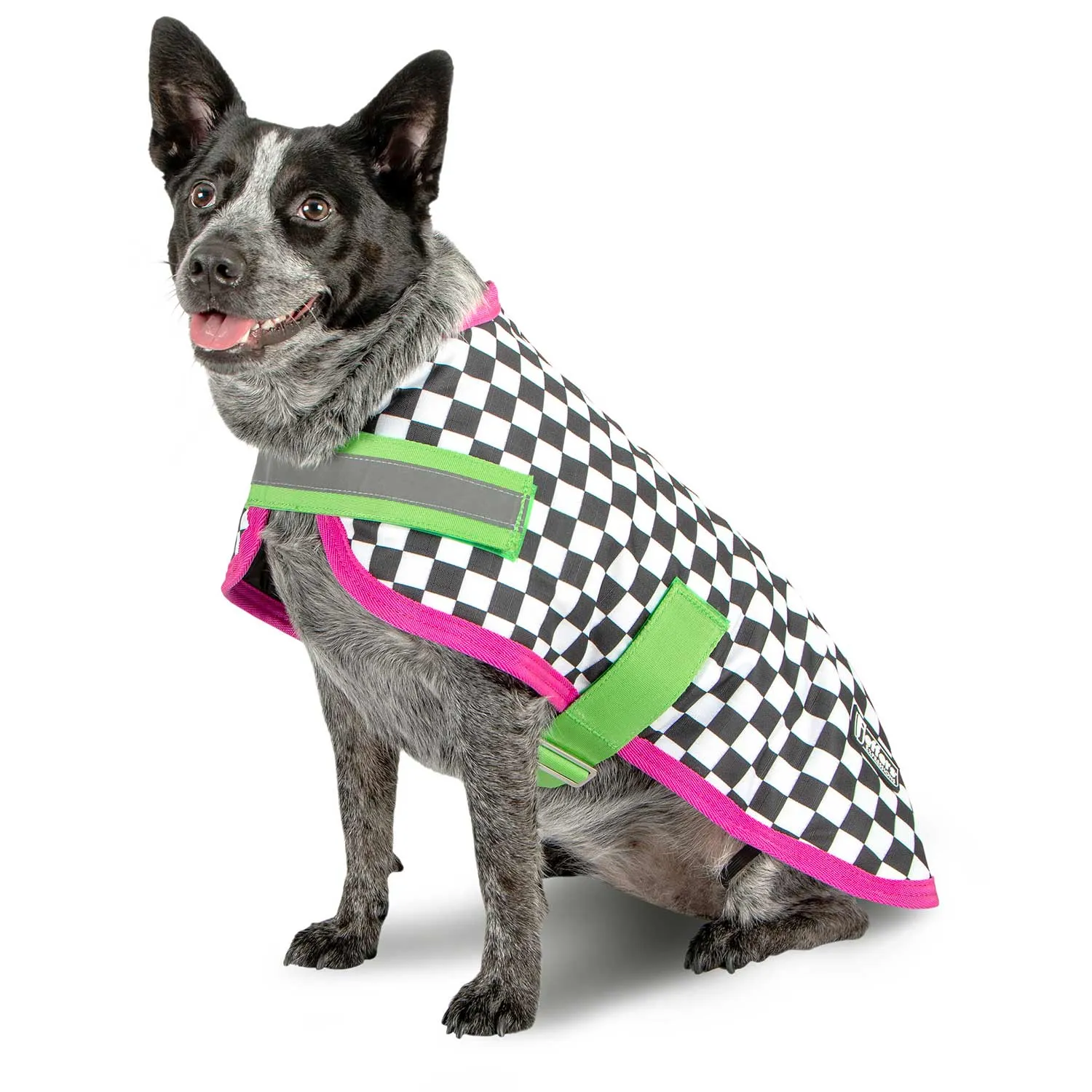 In Stock Now! Jeffers Expression Dog Coat, Skater Pup