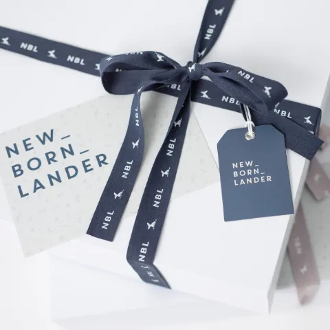 Newbornlander Box (Dino Lover)