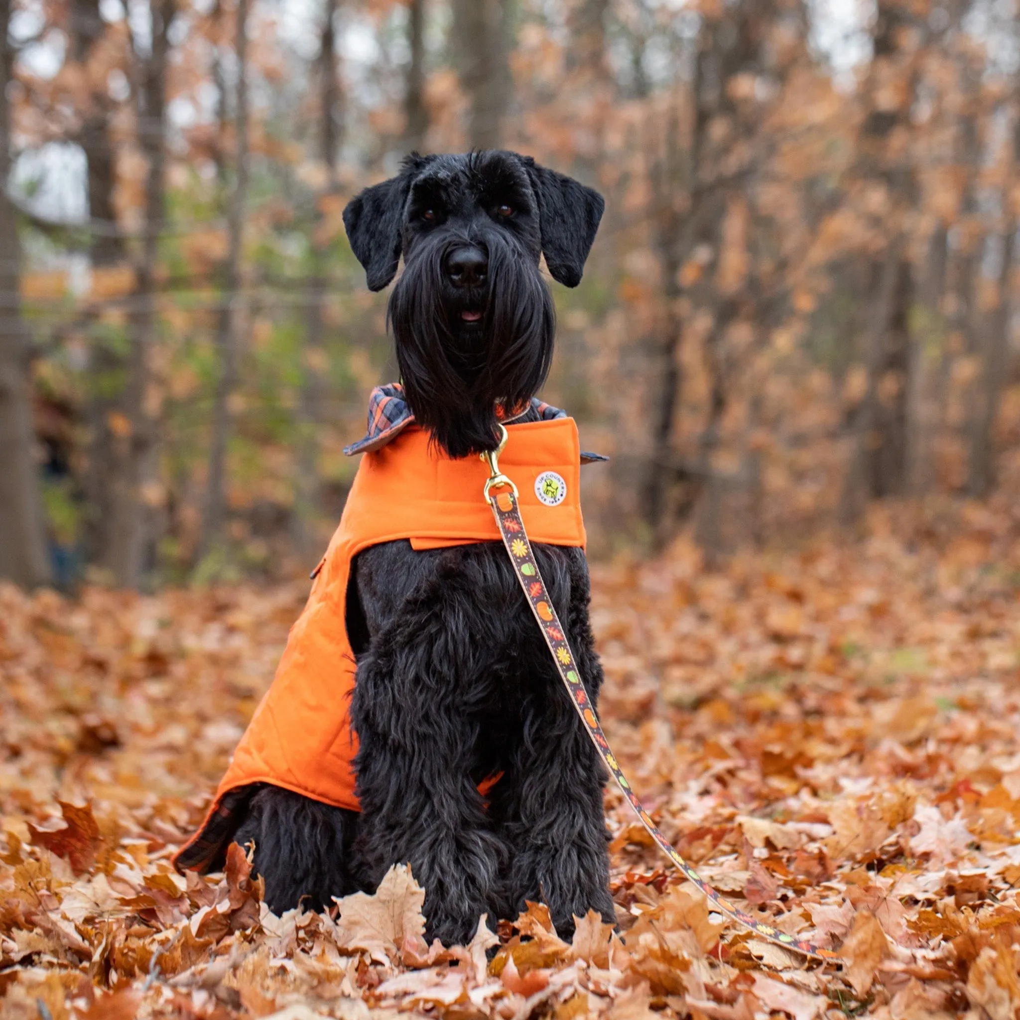 Orange Field Coat