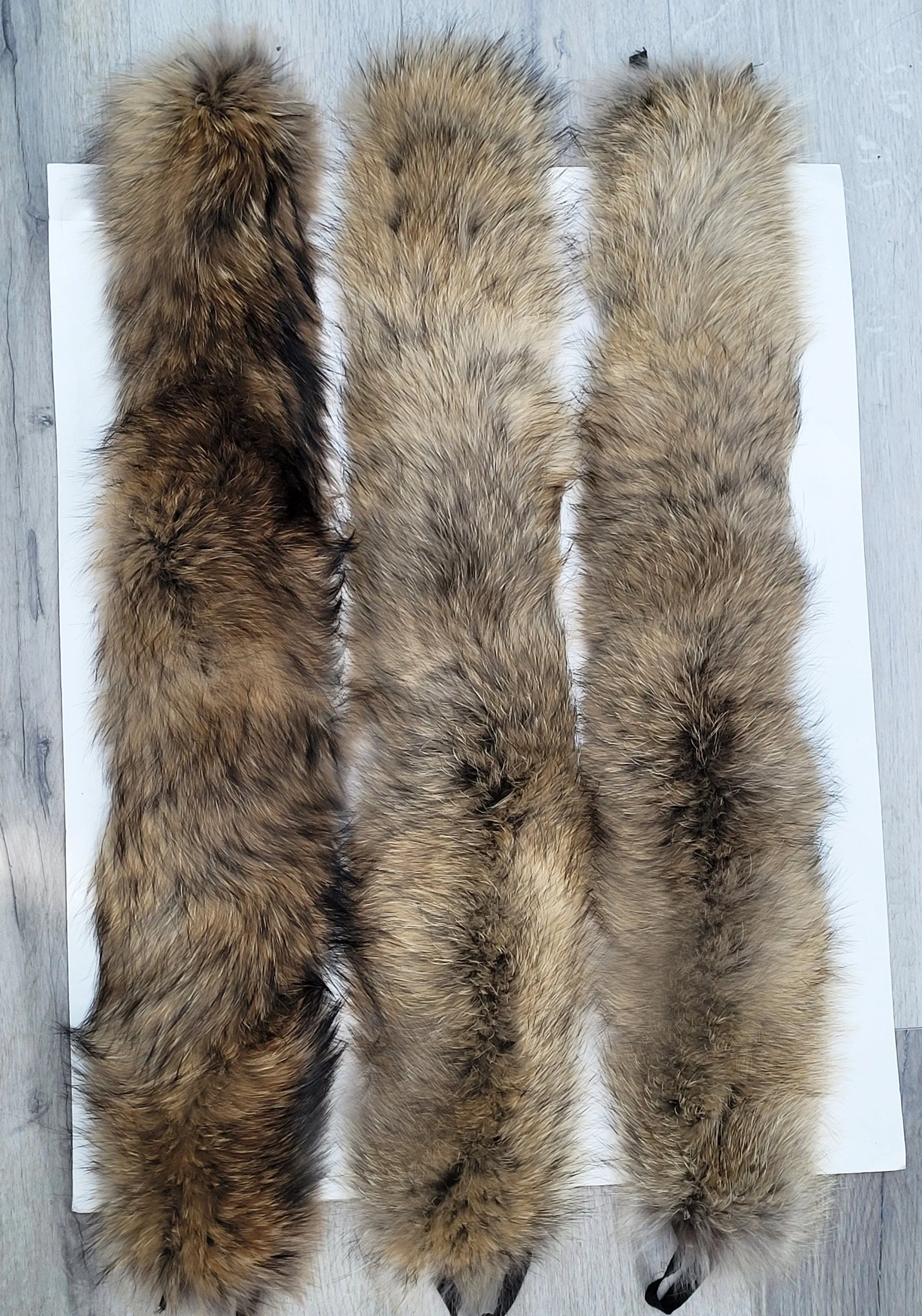 READY to SHIP XL Large Full Finnish Real Raccoon Fur Collar, Fur Trim for Hoodie, Raccoon Fur Collar, Fur Scarf, Fur Ruff, Raccoon Fur Hood