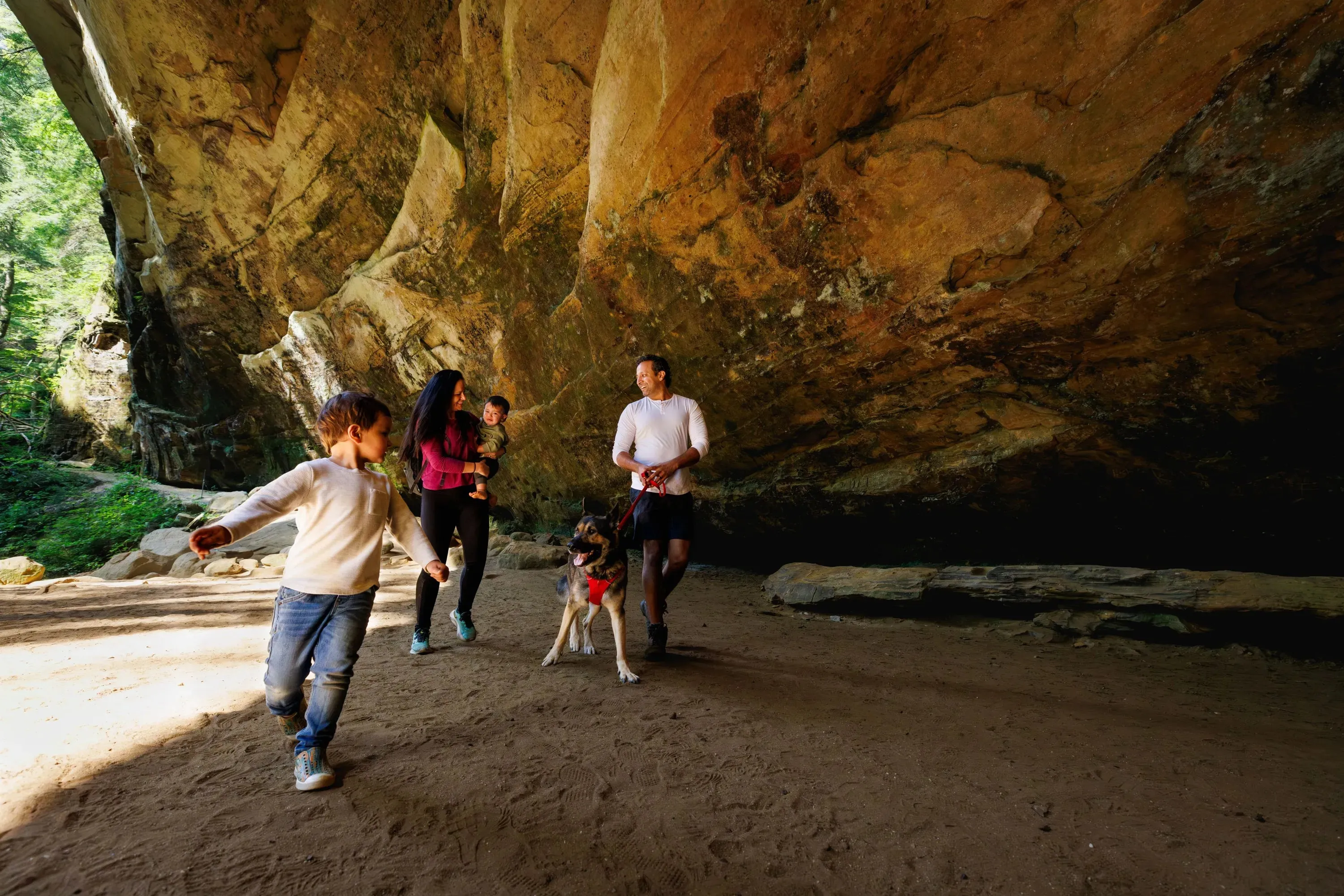 Ruffwear Front Range™ Padded Dog Harness (Red Canyon)