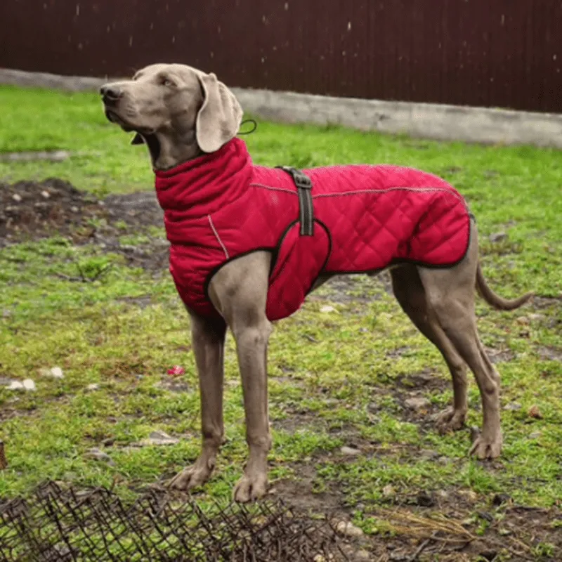 Soft Warm Fleece Winter Jacket